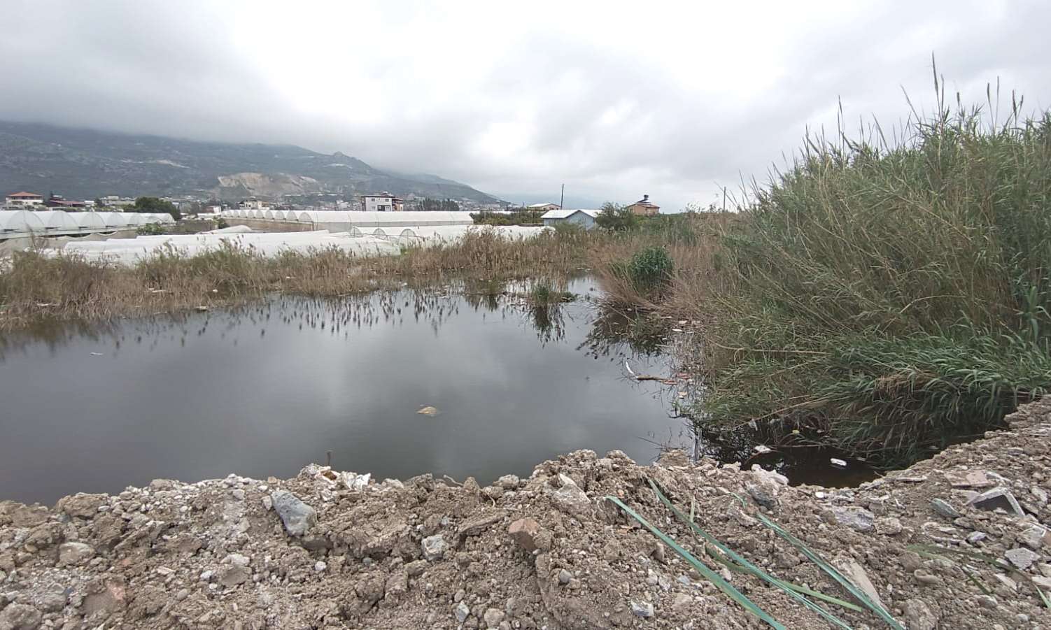 Fotoğraf: Demet Parlar Asi nehri eski yatağına, seraların dibine dökülen molozlar (Samandağ)